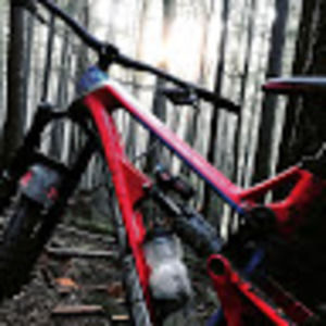 Meet your Posher, Ronan